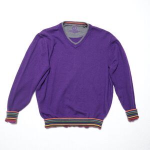 Bugatchi Merino Wool Sweater Mens Medium V-Neck Casual Purple Preppy Lightweight